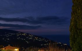 Olga Hotel Mouresi